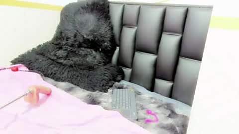 alicee online show from May 12, 2026, 9:45 pm
