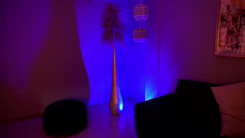 Alice online show from February 5, 2026, 12:37 am