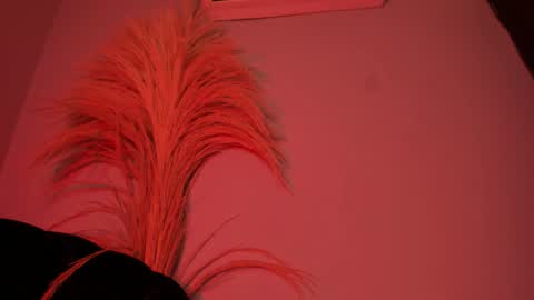 Snapshot of alicepoixxxon chatting on October 25, 2025, 3:14 am ALICE online show from October 25, 2025, 3:14 am