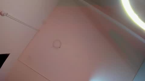 Snapshot of alicepoixxxon chatting on November 8, 2025, 1:06 am ALICE online show from November 8, 2025, 1:06 am