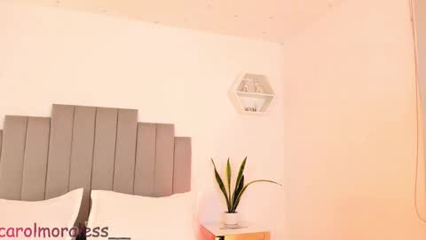 Snapshot of alisa_walton chatting on November 30, 2025, 4:05 am ALIS online show from November 30, 2025, 4:05 am