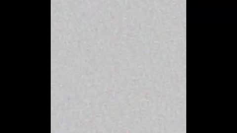 Alisse online show from February 12, 2026, 11:49 am