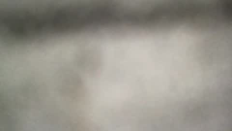 all_most_sane online show from June 25, 2026, 6:34 pm