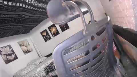 Snapshot of allday_mistress chatting on December 16, 2025, 10:09 am trina online show from December 16, 2025, 10:09 am