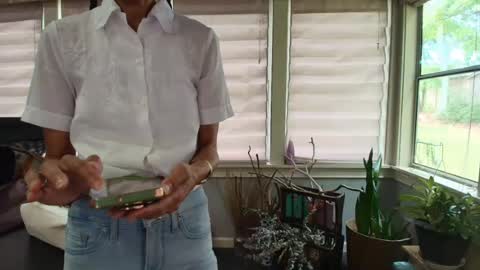 wishlist on bio online show from July 15, 2026, 6:24 pm