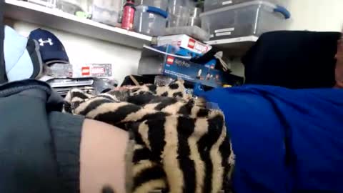 allwolf0323 online show from March 13, 2026, 9:32 pm