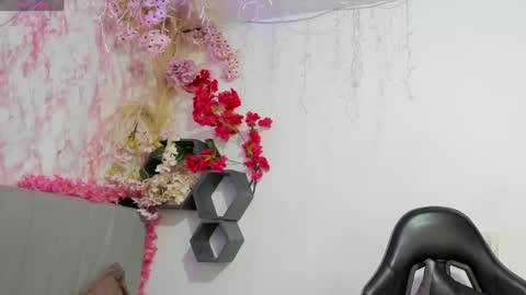 Santy online show from April 25, 2026, 7:55 pm