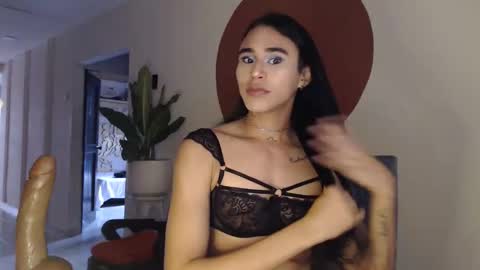 Snapshot of alogenotwink chatting on December 16, 2025, 11:59 am STEPHAN online show from December 16, 2025, 11:59 am