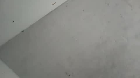 Snapshot of alondracc chatting on October 7, 2025, 12:13 pm Contreras online show from October 7, 2025, 12:13 pm