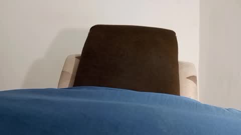 Snapshot of alotofcream chatting on December 21, 2024, 11:56 pm alotofcream4u online show from December 21, 2024, 11:56 pm