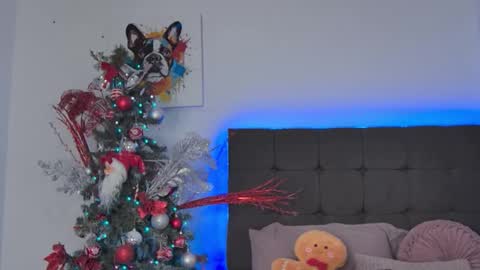 Amanda online show from December 14, 2025, 5:07 pm