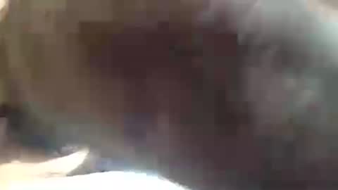 amandapanda1 online show from July 19, 2026, 1:48 pm