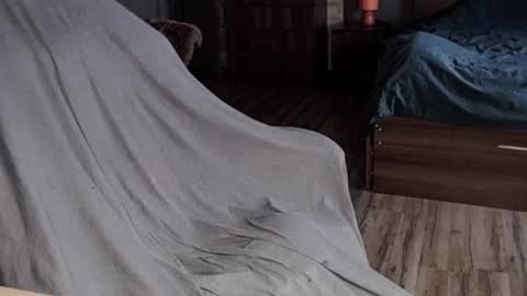 Malina online show from January 13, 2025, 8:05 am