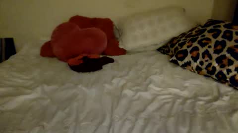 Amberloves2write aka AmberMyBelle online show from February 8, 2025, 2:58 am