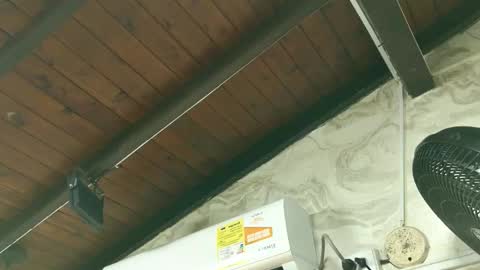 amy_greenee online show from March 1, 2026, 11:34 am