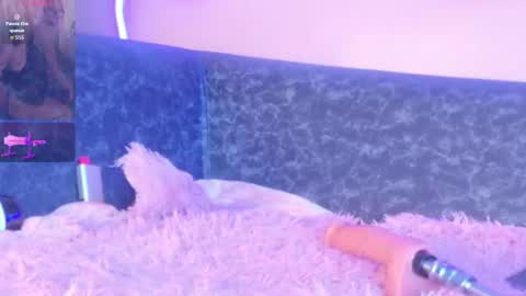 Amy online show from July 17, 2026, 8:43 am