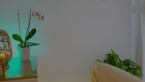 Snapshot of anabelcurvy chatting on May 24, 2026, 9:58 am anabelcurvy online show from May 24, 2026, 9:58 am