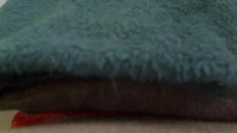 anaiserebel online show from January 4, 2025, 7:34 am