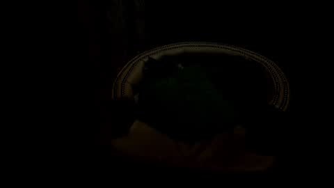 Snapshot of analia18_ chatting on January 17, 2025, 6:33 pm analia18 online show from January 17, 2025, 6:33 pm