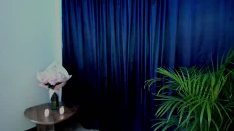 Snapshot of anamarieh chatting on February 28, 2025, 5:15 pm Ann online show from February 28, 2025, 5:15 pm