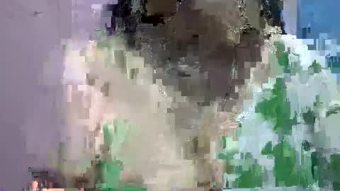 Snapshot of anamika794088 chatting on January 12, 2025, 12:55 pm anamika794088 online show from January 12, 2025, 12:55 pm