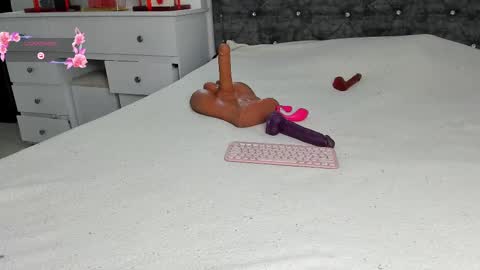  ANASTASIA DANGER  online show from February 13, 2025, 12:11 pm