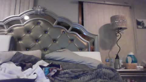anastasiasteele67 online show from June 25, 2026, 5:45 am