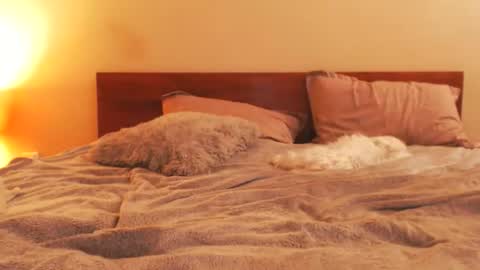 Andra online show from February 25, 2026, 7:01 pm