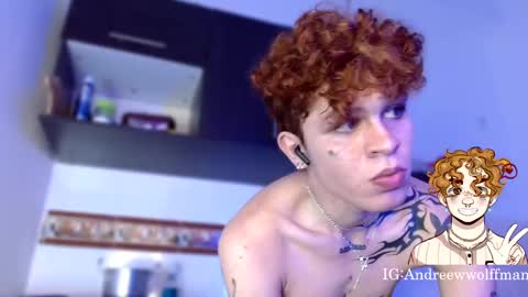 Snapshot of andreewwolffman chatting on January 14, 2025, 4:15 am Andrew online show from January 14, 2025, 4:15 am