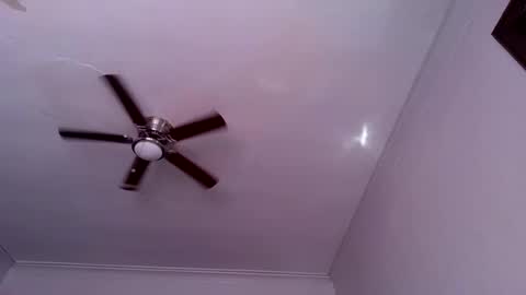 Snapshot of andrewgennie chatting on October 26, 2025, 6:03 pm andrewgennie online show from October 26, 2025, 6:03 pm