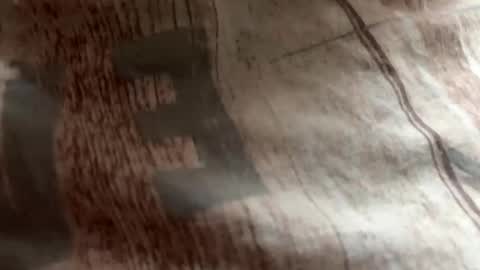 Snapshot of andruy1986 chatting on October 19, 2025, 8:37 am Zloy online show from October 19, 2025, 8:37 am