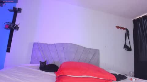 Snapshot of andy_naughty1 chatting on May 19, 2026, 12:00 pm Andy online show from May 19, 2026, 12:00 pm