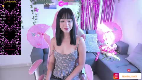 Snapshot of aneko_morii chatting on December 12, 2024, 2:33 pm online show from December 12, 2024, 2:33 pm