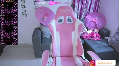 Snapshot of aneko_morii chatting on December 27, 2024, 2:54 pm online show from December 27, 2024, 2:54 pm