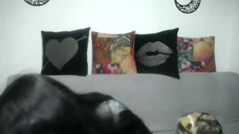 Snapshot of angela_mis chatting on March 7, 2025, 3:19 am Angela online show from March 7, 2025, 3:19 am