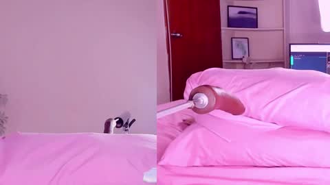 Angeli  online show from February 18, 2025, 3:21 am