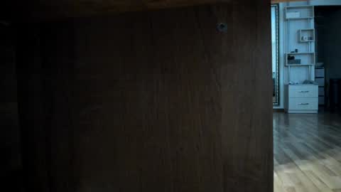 Snapshot of angelicarai chatting on December 29, 2024, 9:17 am Angelica Rai online show from December 29, 2024, 9:17 am