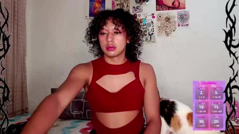   online show from January 21, 2025, 2:43 am