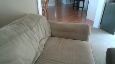 Snapshot of angh21 chatting on May 26, 2026, 2:24 pm Bill M. online show from May 26, 2026, 2:24 pm