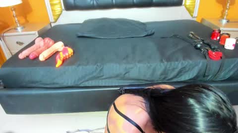 Ani  Time schedule 0600 - 1400 GMT -5 online show from October 1, 2025, 11:05 am