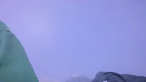 Animeboygirls online show from February 2, 2026, 5:39 am