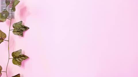 Anne online show from February 2, 2025, 9:23 pm