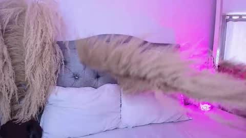 Snapshot of annie_20_ chatting on March 27, 2026, 5:23 pm annie_20_ online show from March 27, 2026, 5:23 pm