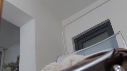 Snapshot of annyarose chatting on December 2, 2024, 11:45 am Anna online show from December 2, 2024, 11:45 am