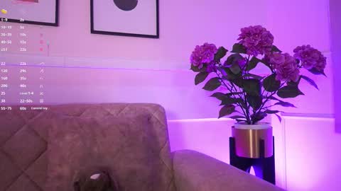 Ana online show from February 4, 2026, 11:38 am