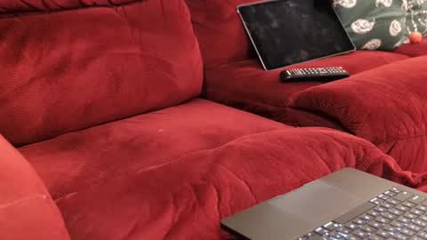 Snapshot of anonycock7 chatting on February 20, 2026, 12:05 pm D online show from February 20, 2026, 12:05 pm