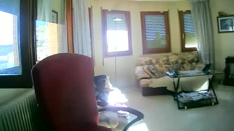 Snapshot of antonio2605 chatting on January 13, 2025, 11:19 am Antonio online show from January 13, 2025, 11:19 am