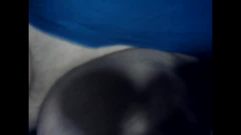 antxon12 online show from January 17, 2026, 2:38 am