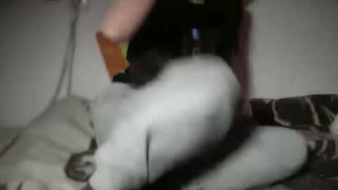 aphr0dite22 online show from January 6, 2026, 3:16 pm