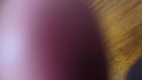 Snapshot of apollodarkmn chatting on July 24, 2026, 4:10 am apollodarkmn online show from July 24, 2026, 4:10 am